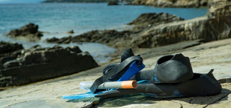 Equipment Needed for Snorkeling