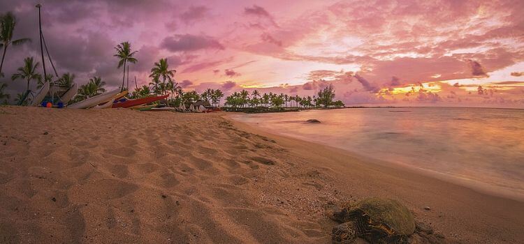 best beaches in hawaii big island
