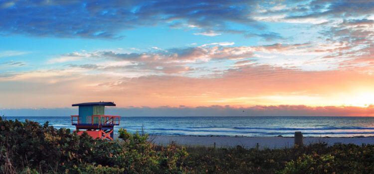 things to do in amelia island