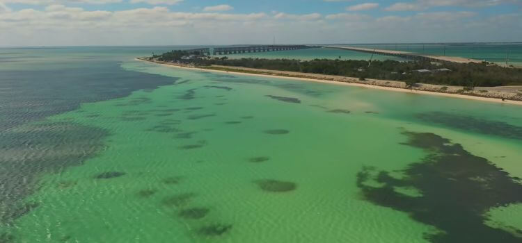 Best Time to Visit Florida Keys for Ideal Weather