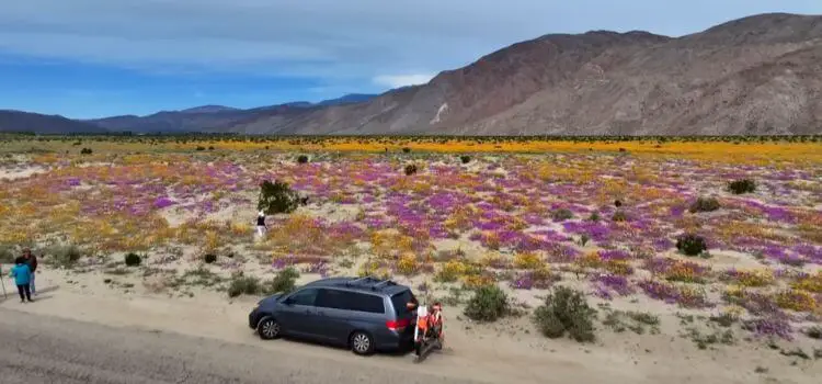 Anza-Borrego Desert State Park 