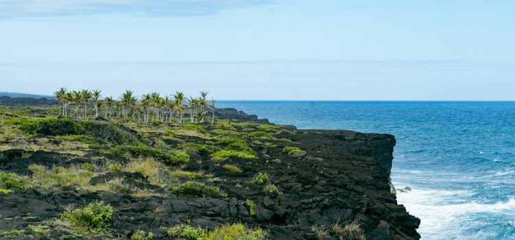 Big Island Day Trip