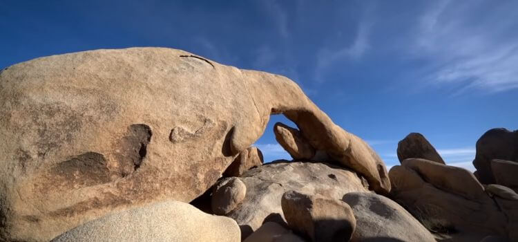 Joshua Tree National Park