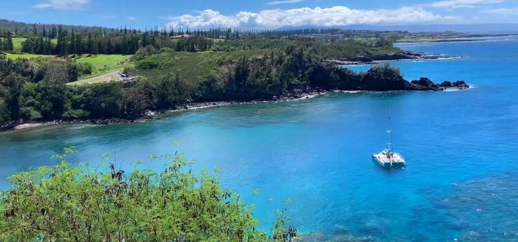 Honolua Bay snorkeling spot