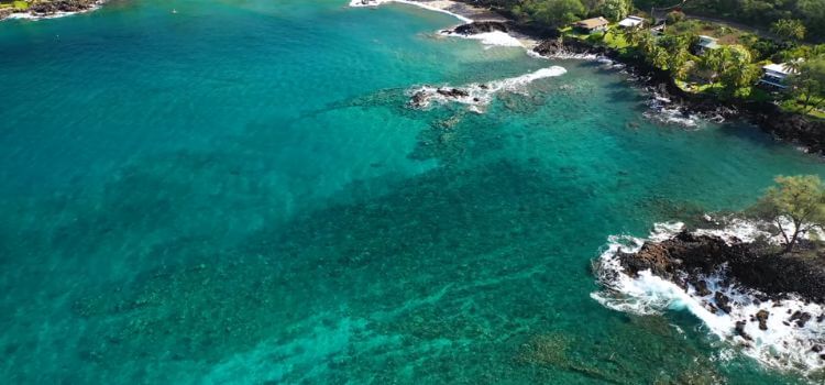 Coral Gardens snorkeling spot