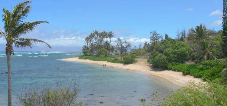 Waialua Beach