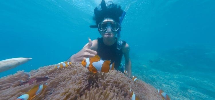 Best Snorkeling in Kauai