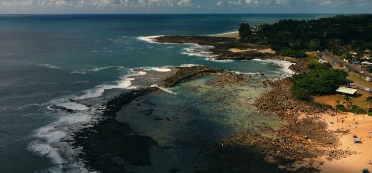  Shark's Cove snorkeling spot in Oahu